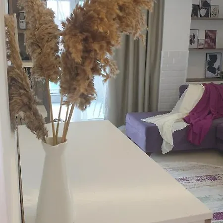 Best 20, Beach Kleopatra, Apartmán